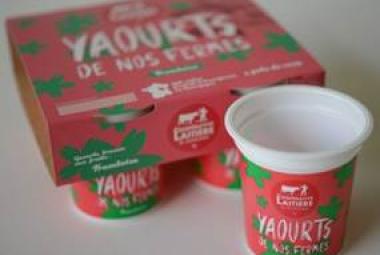 Eco conception dveloppement d'une solution d'emballage pour yaourt | Conseil en packaging